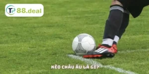 Kèo châu Âu